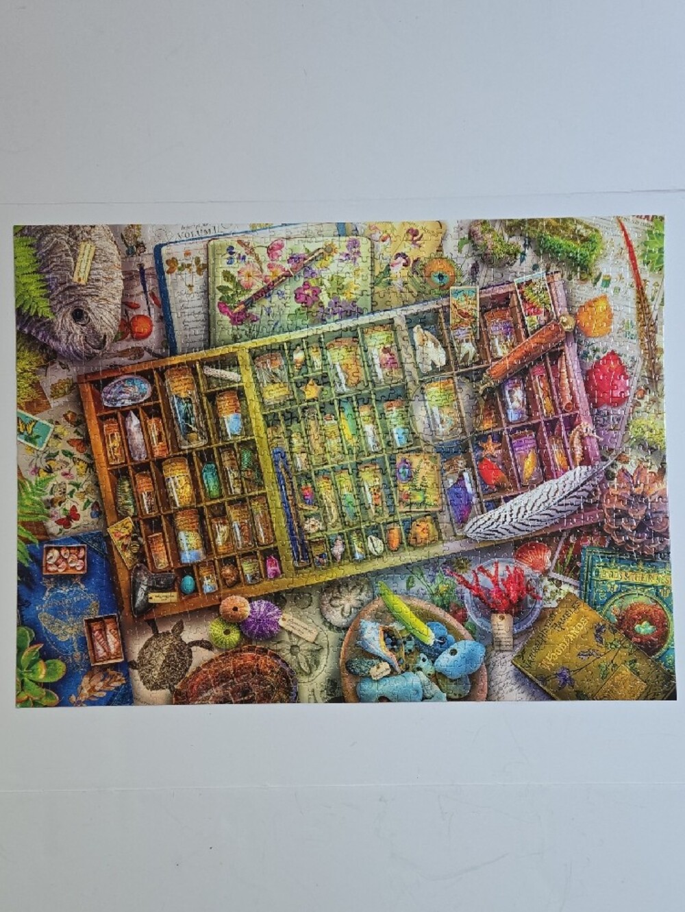 Aimee Stewart Puzzle Buffalo The Naturalist's Collection Jigsaw Puzzle 1000 Pcs - Picture 12 of 16